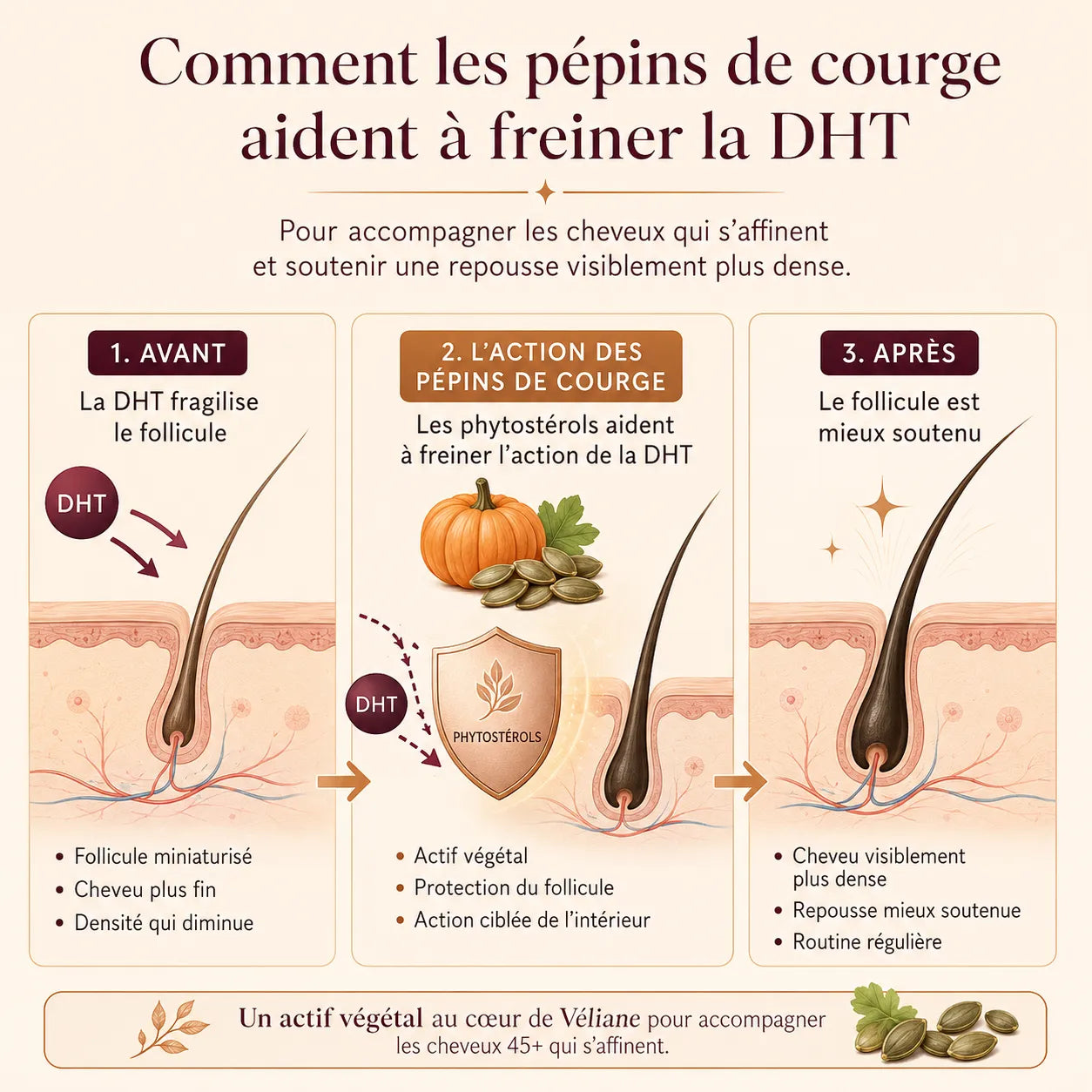 Véliane 90
